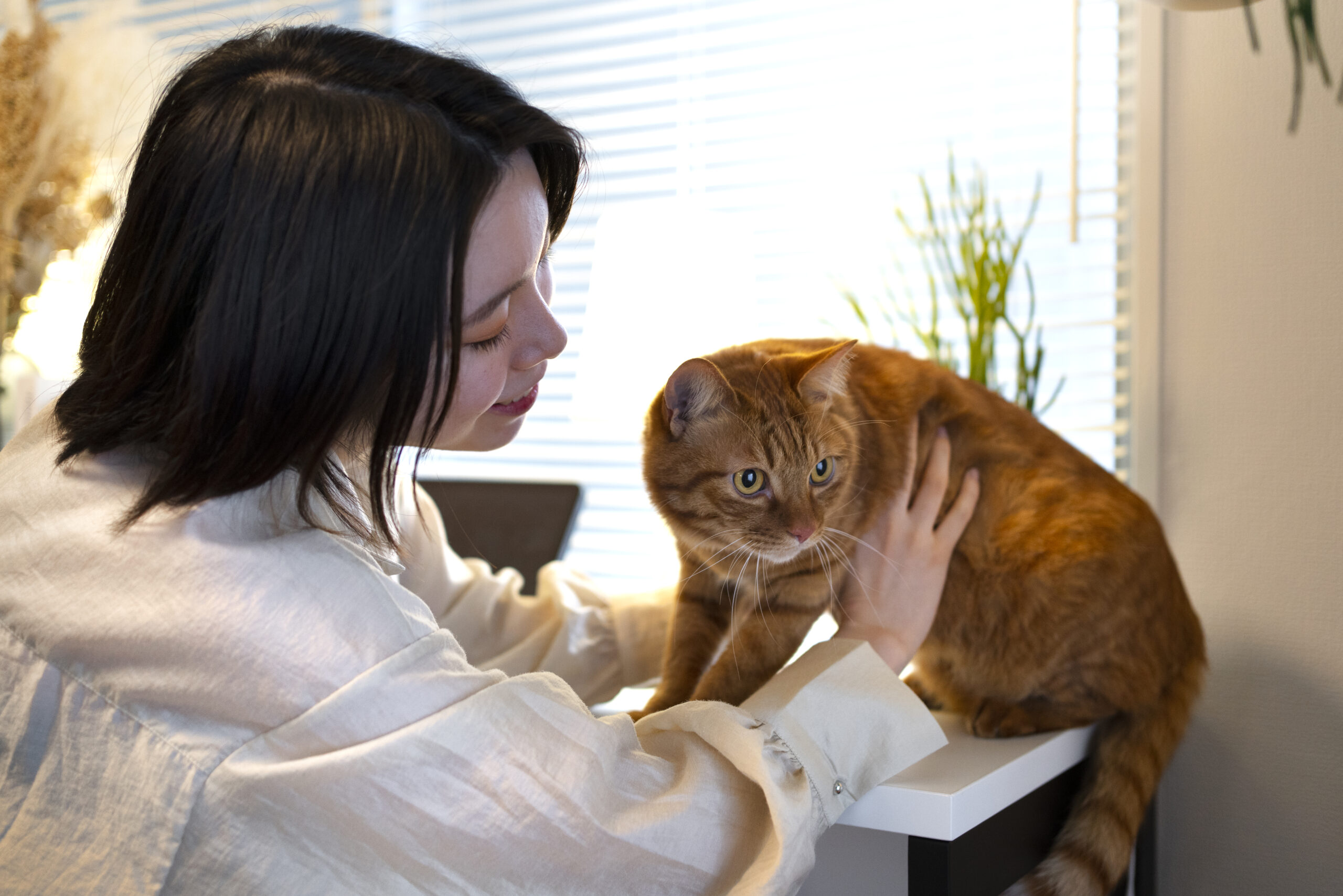 Pet Sitting Services in Ladue 03