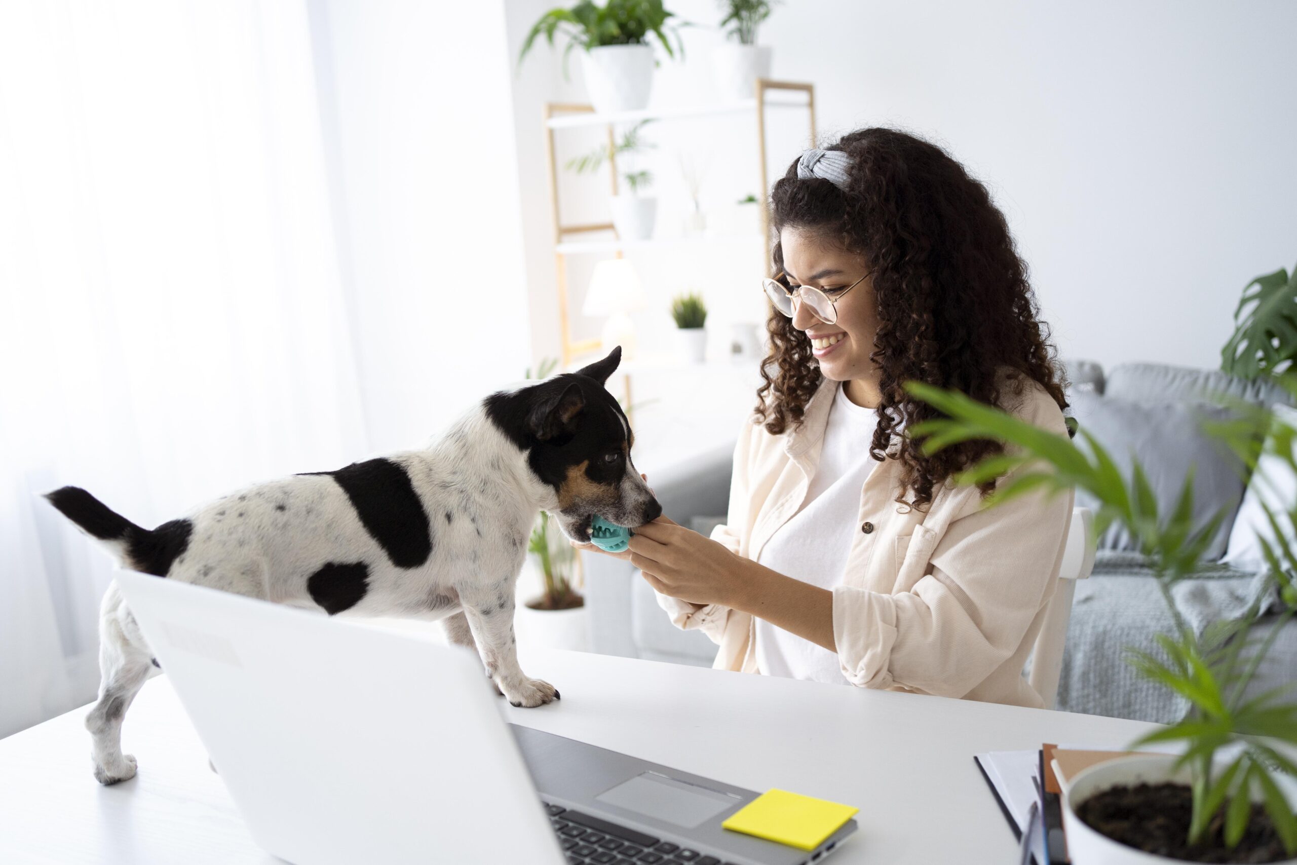 Pet Sitting Services in Ladue 05