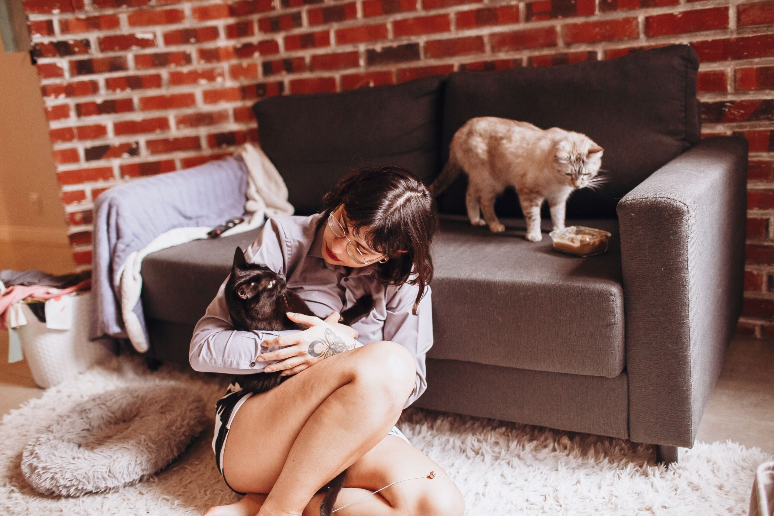 Local Pet Sitting Services in Kirkwood MO03