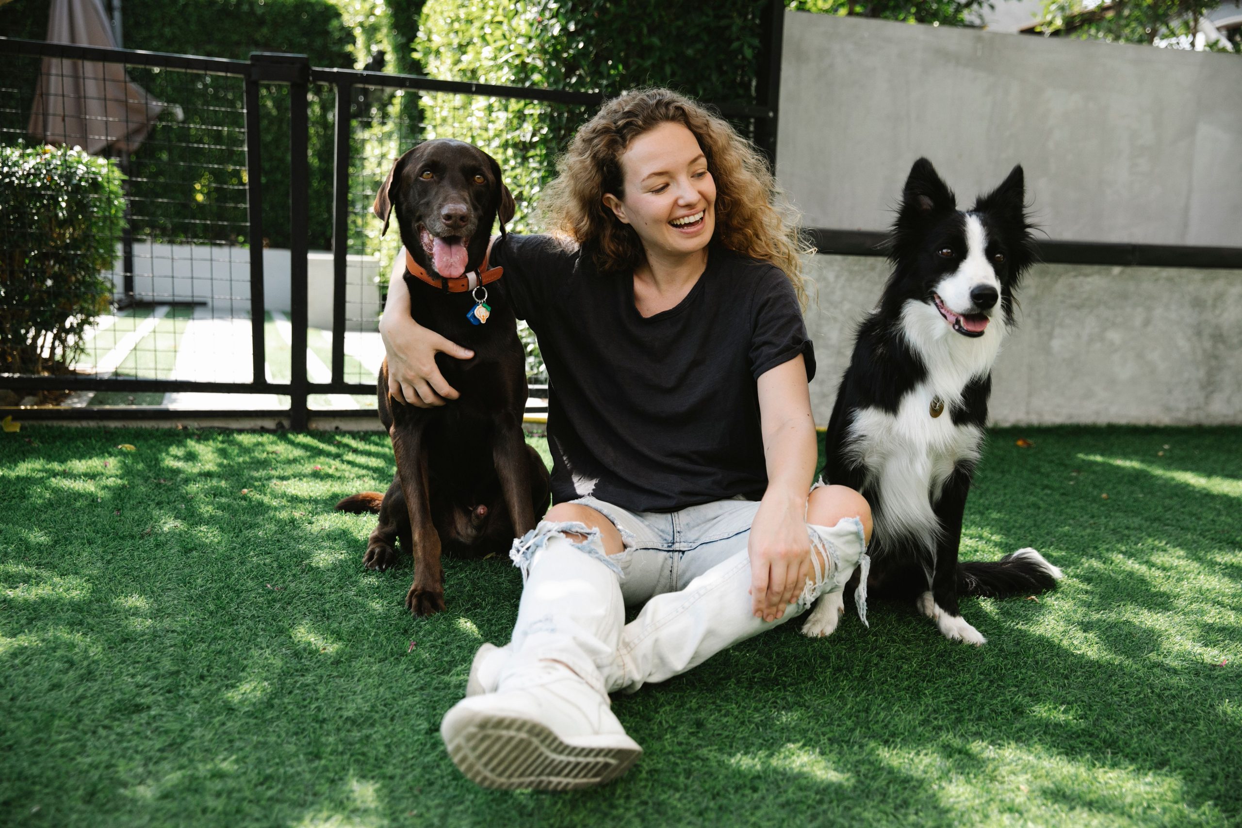 Dog Sitter in Ballwin03