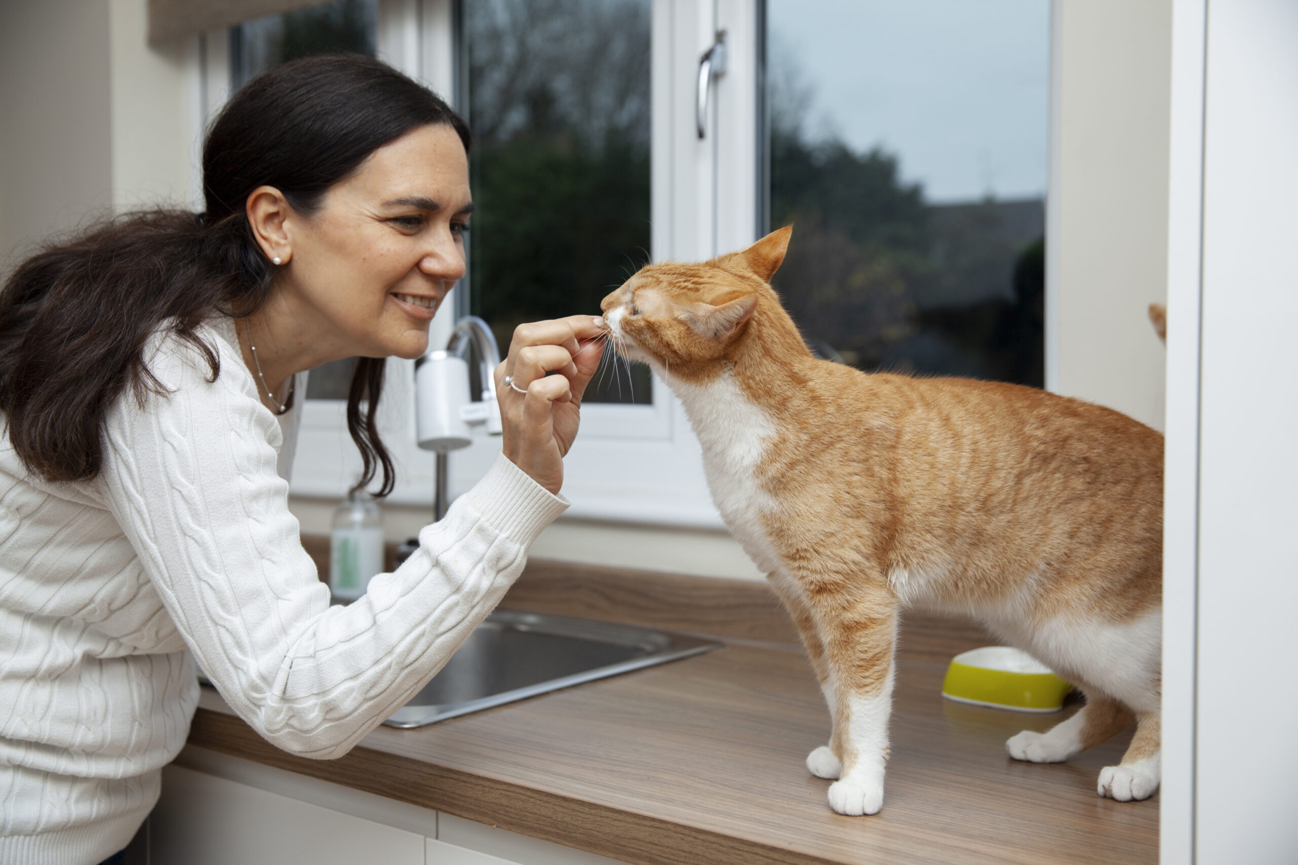 How to Keep Your Cat Comfortable While You’re Away03